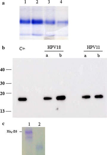 Fig. 4