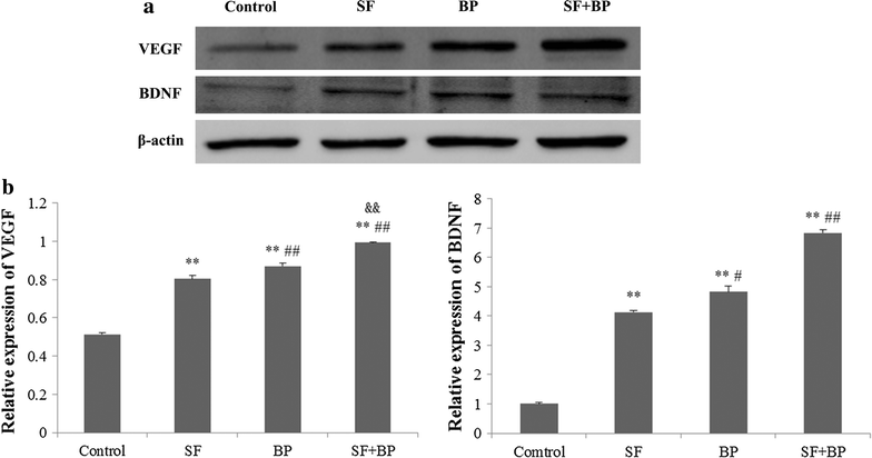 Fig. 6