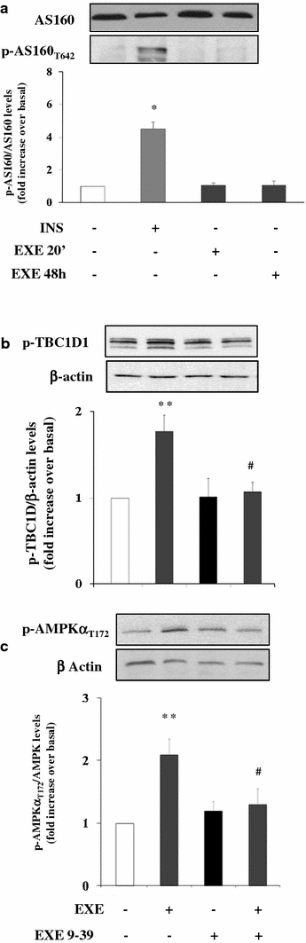 Fig. 5