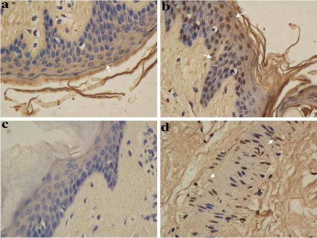 Fig. 6