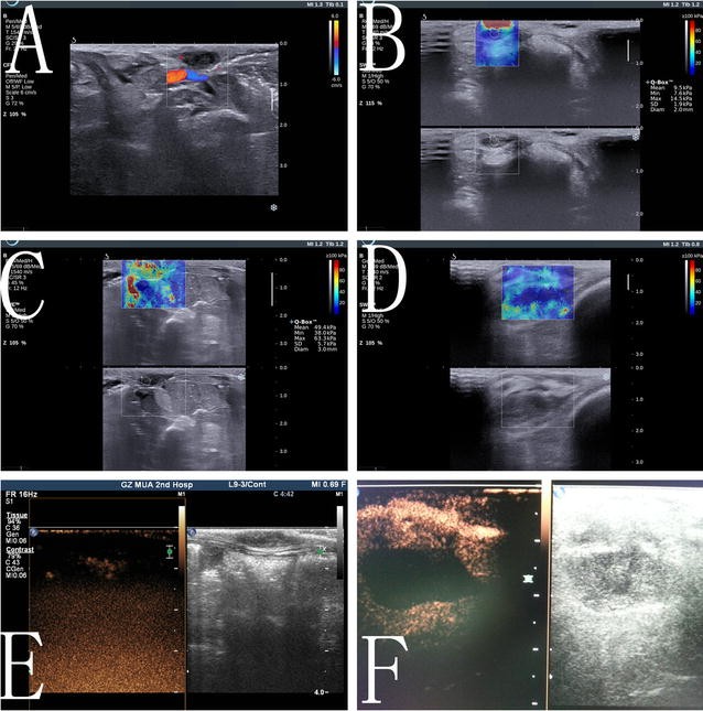 Fig. 8