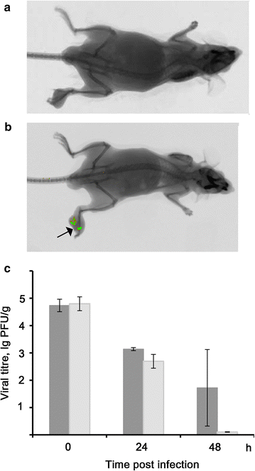 Fig. 4