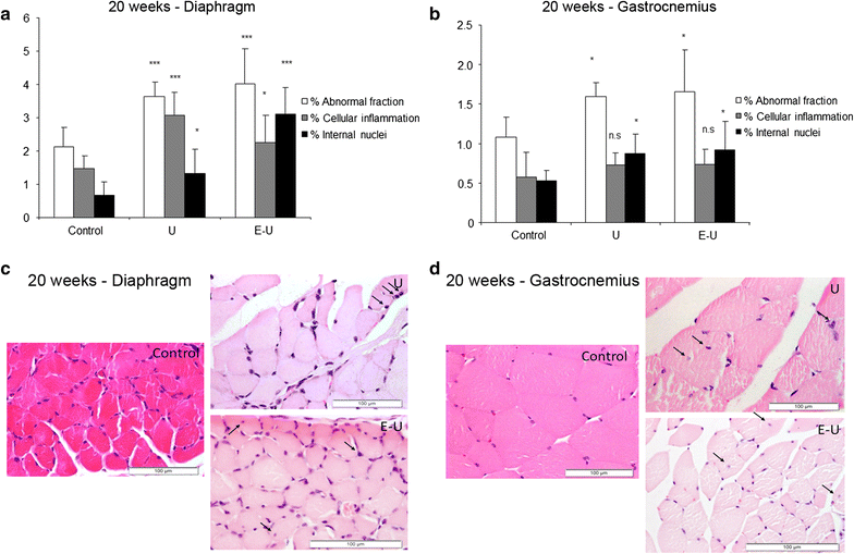 Fig. 7