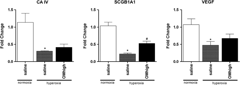 Fig. 7