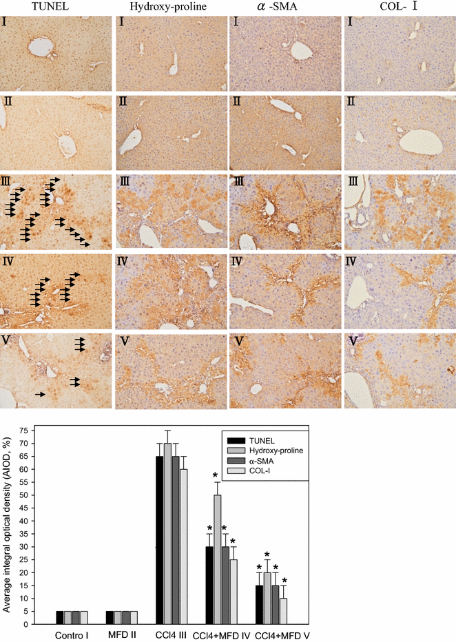 Fig. 4