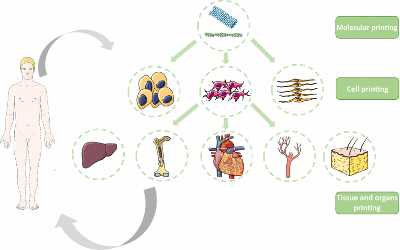 Fig. 3