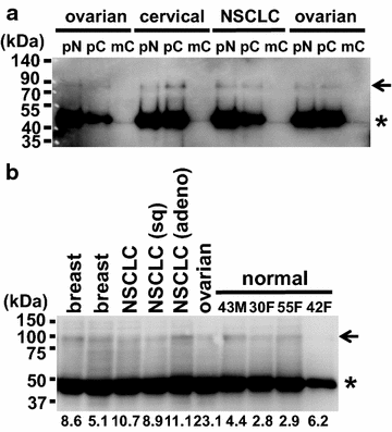 Fig. 7