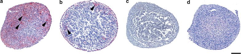 Fig. 8