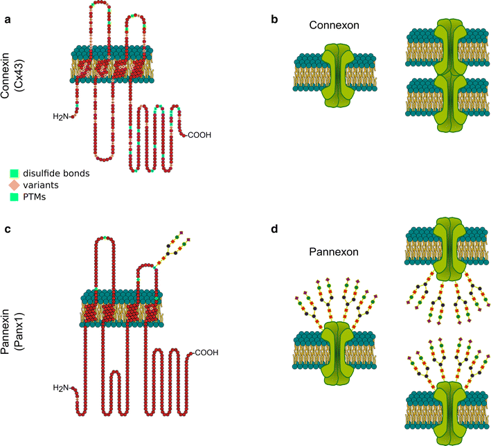 Fig. 1