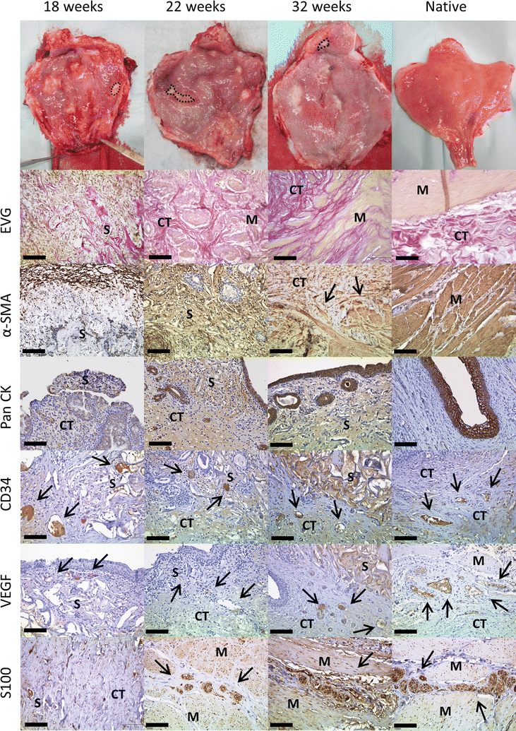 Fig. 10