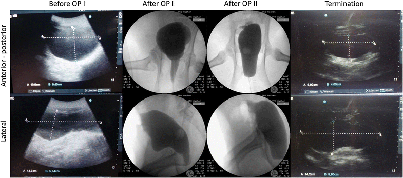 Fig. 6