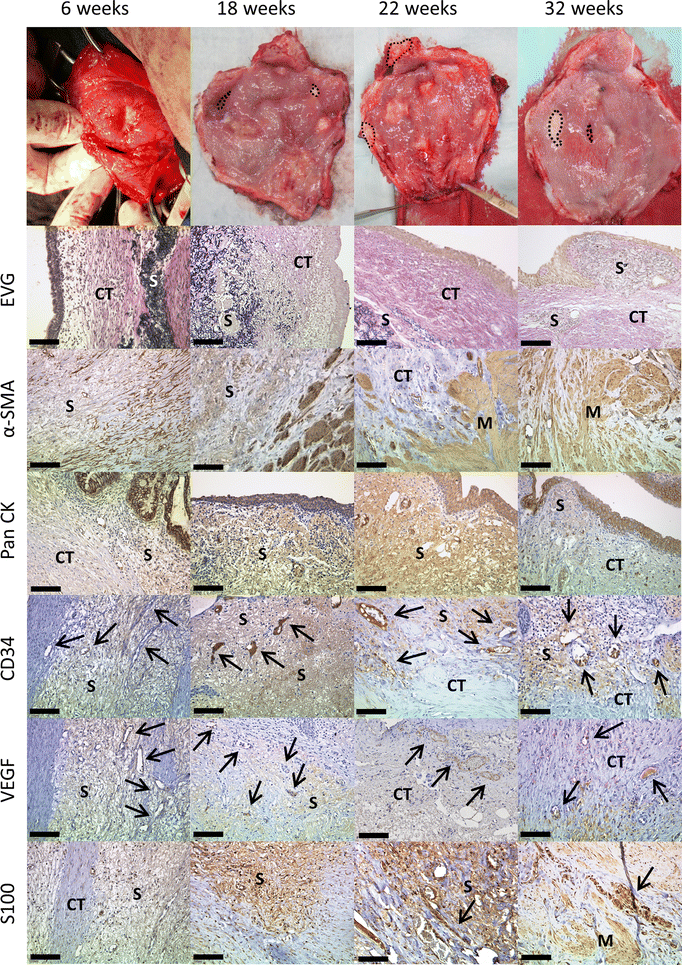 Fig. 7