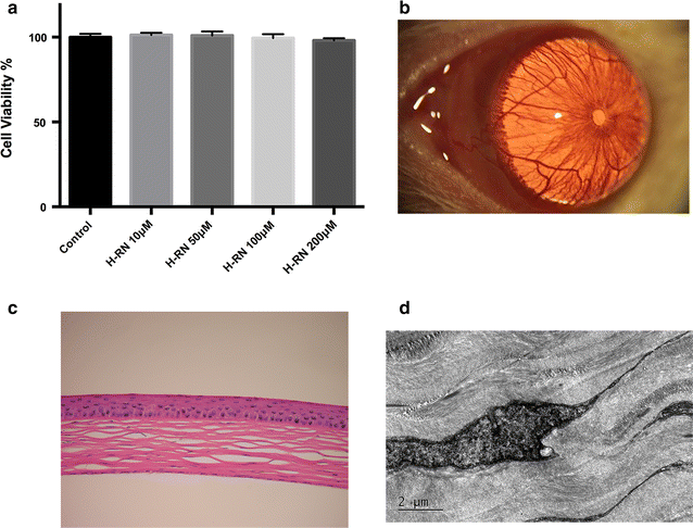 Fig. 9