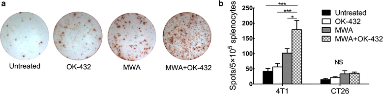 Fig. 4