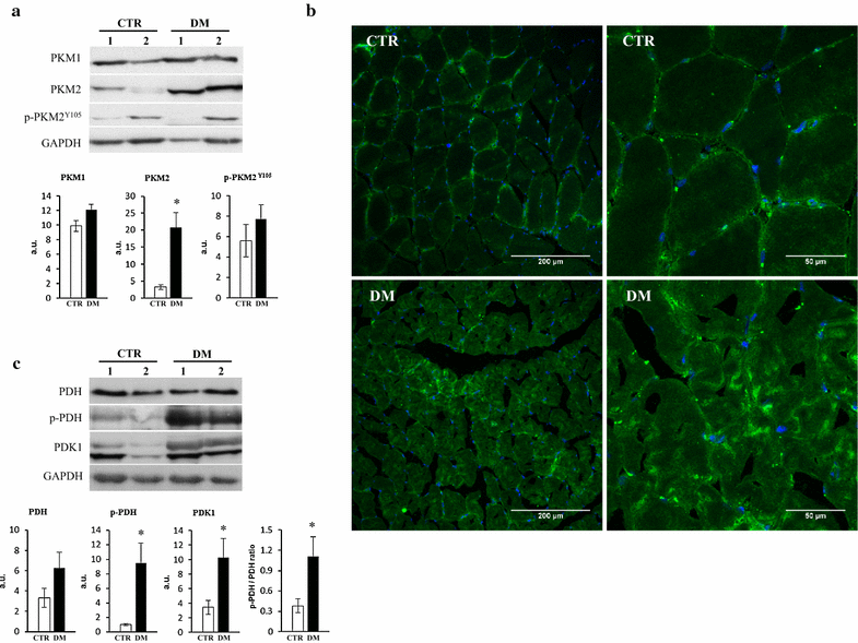 Fig. 6