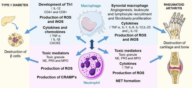 Fig. 4