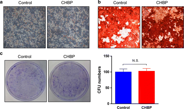 Fig. 7