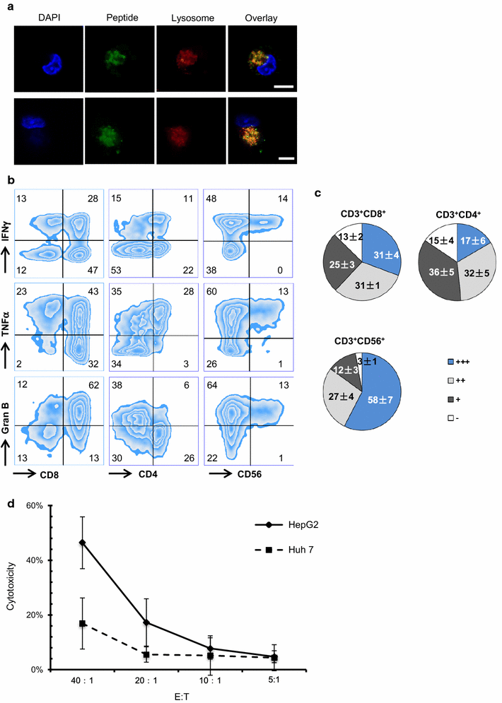 Fig. 2