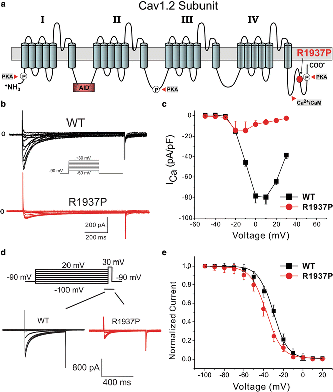 Fig. 4