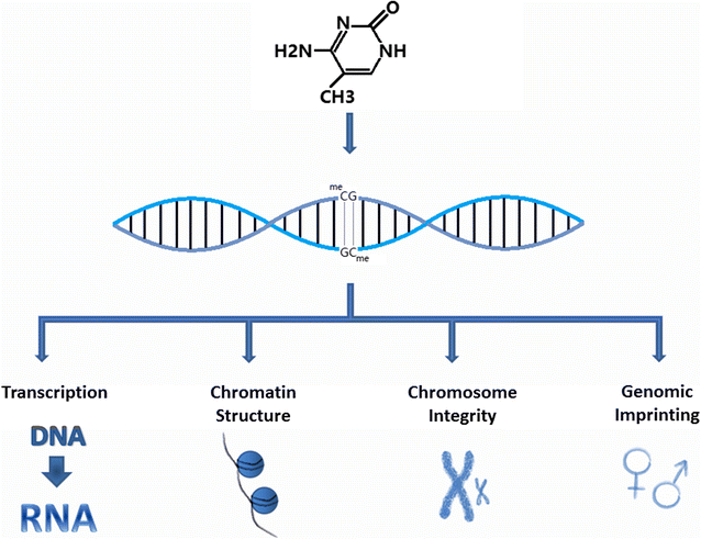 Fig. 2