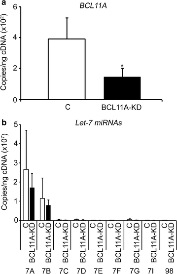 Fig. 8