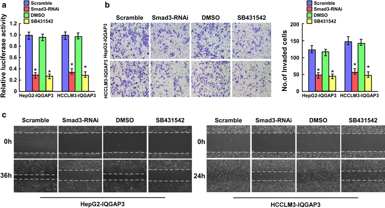 Fig. 7