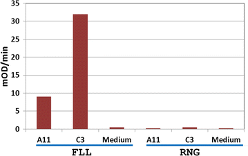 Fig. 4