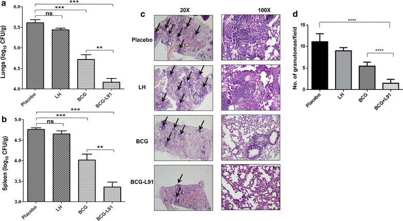 Fig. 5