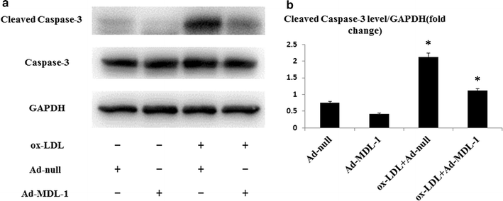 Fig. 6