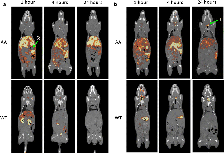 Fig. 4