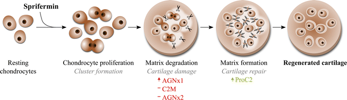 Fig. 4