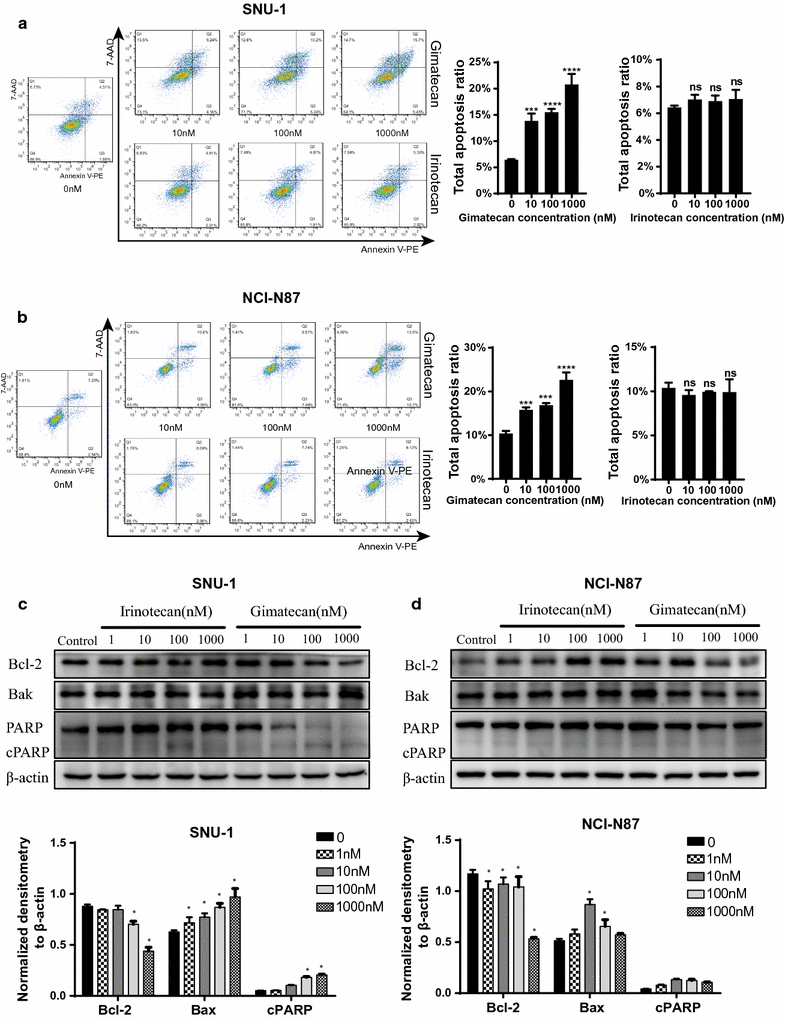 Fig. 2