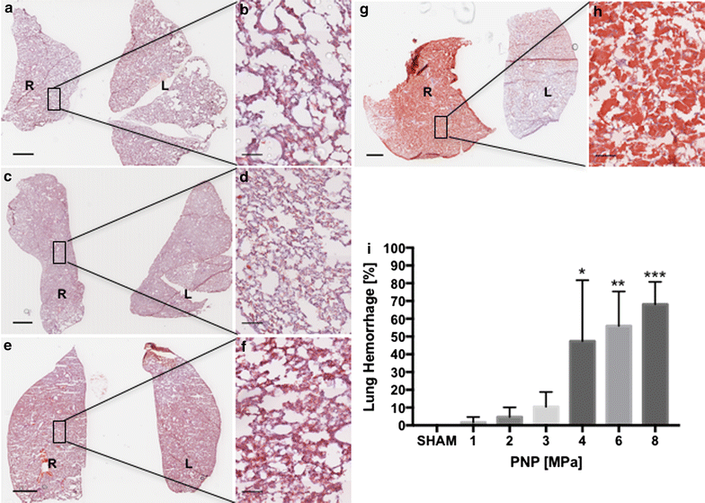 Fig. 7