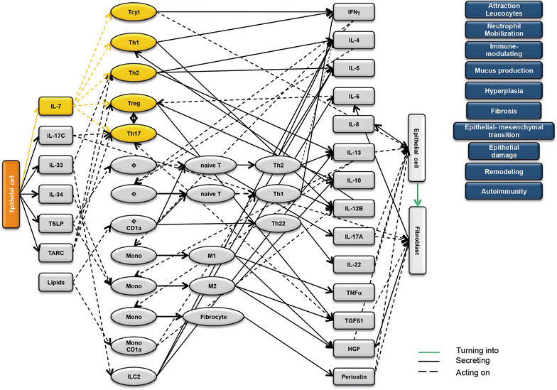 Fig. 4