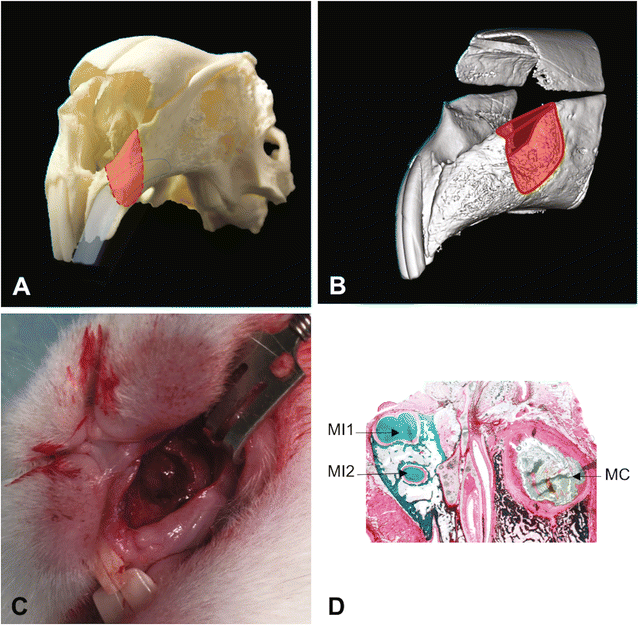 Fig. 1