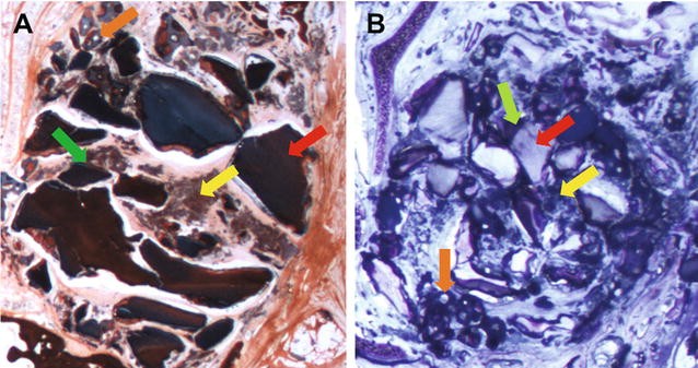 Fig. 6