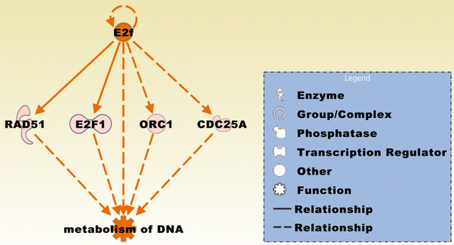 Fig. 8