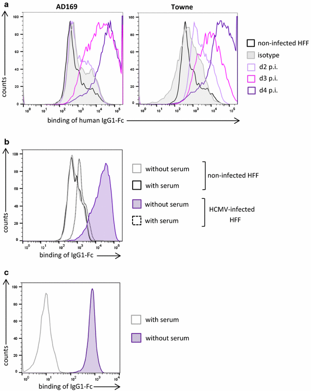 Fig. 4