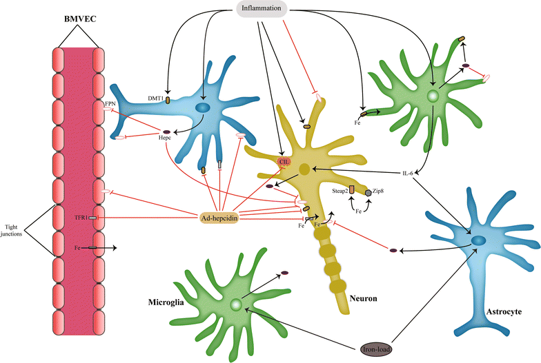 Fig. 2