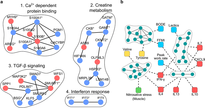 Fig. 2