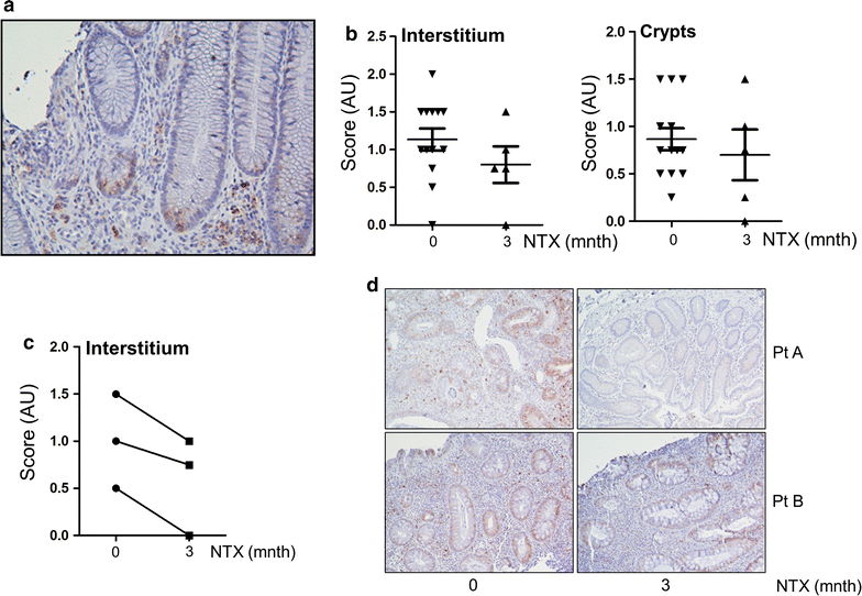 Fig. 5