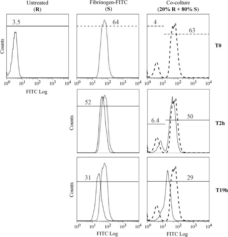 Fig. 4