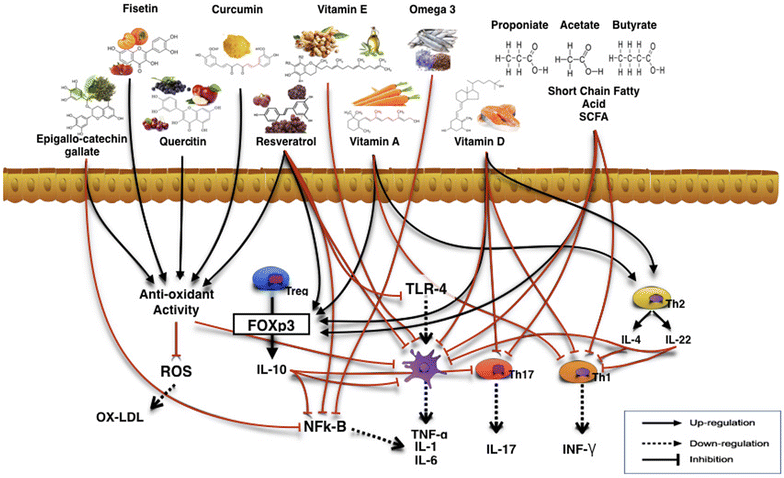 Fig. 2