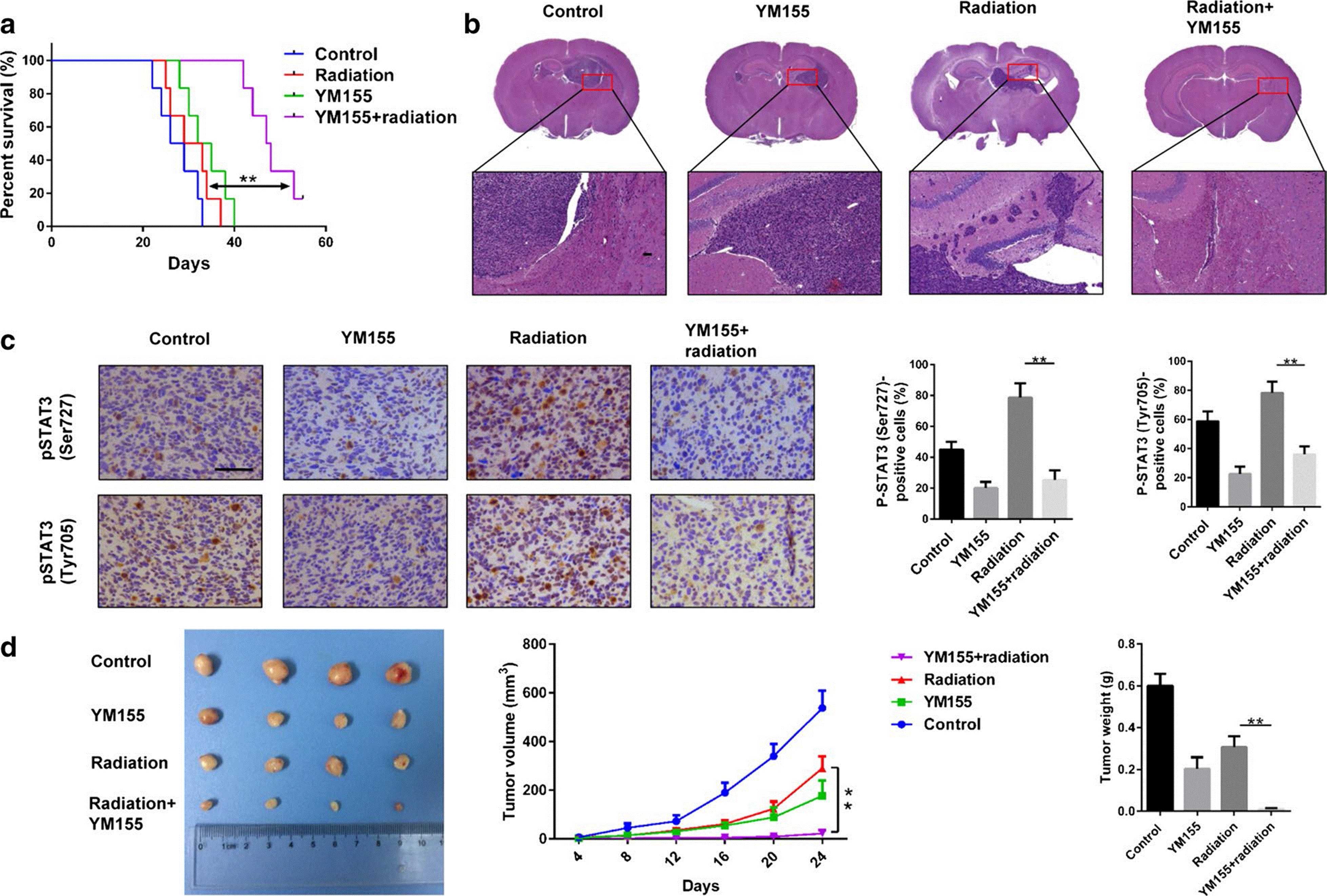 Fig. 6