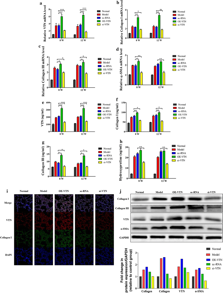 Fig. 4