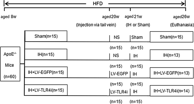 Fig. 1