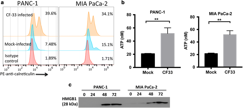 Fig. 3