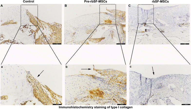 Fig. 7