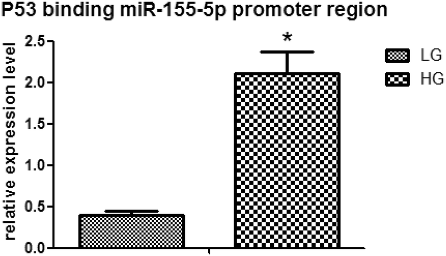 Fig. 5