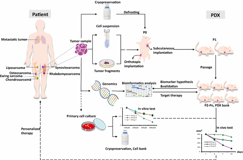 Fig. 2